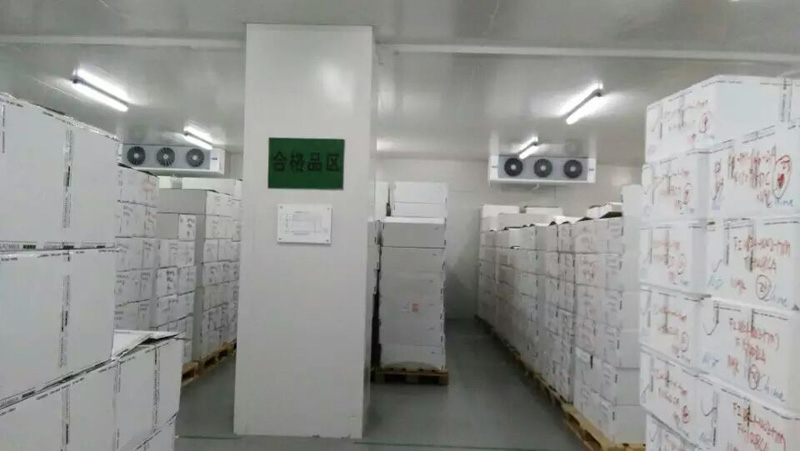 藥品冷藏庫(kù)